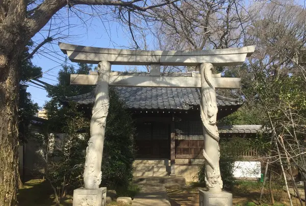 高円寺の写真・動画_image_119064