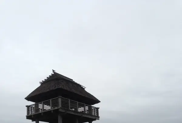 吉野ヶ里歴史公園の写真・動画_image_119093