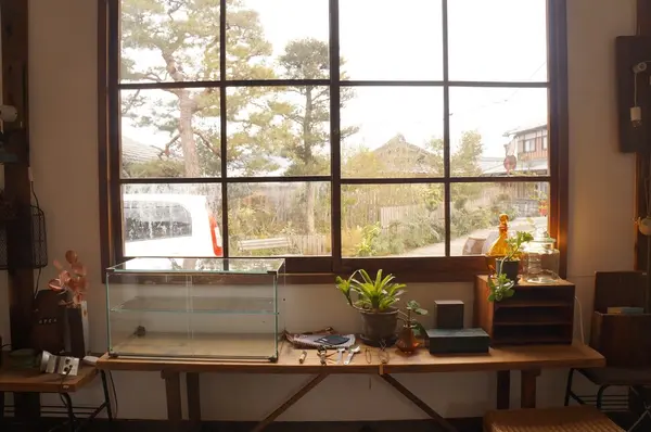 SEED antiques & Photo studioの写真・動画_image_119156