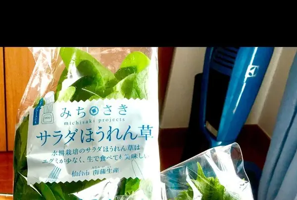 （株）高野青果の写真・動画_image_119271