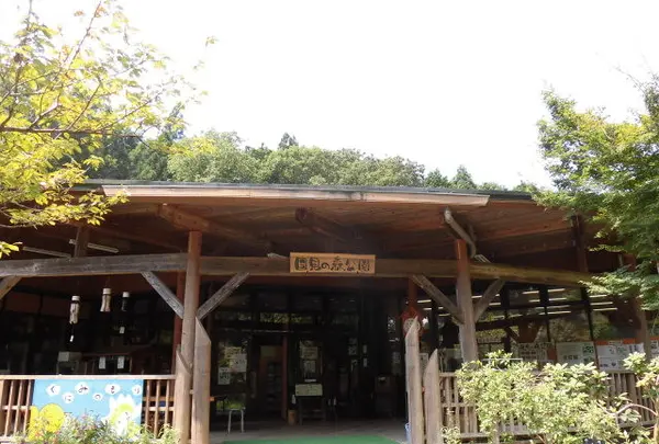 県立国見の森公園の写真・動画_image_119290