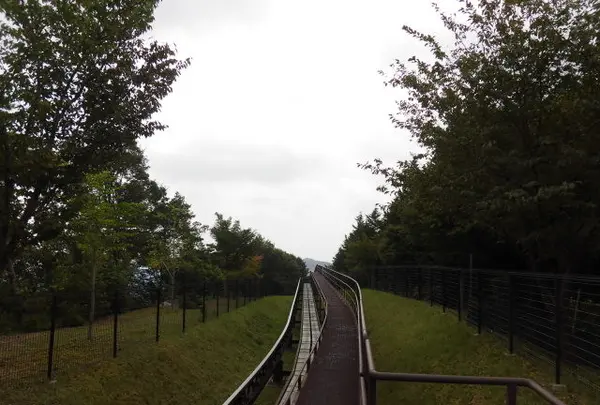 県立国見の森公園の写真・動画_image_119291