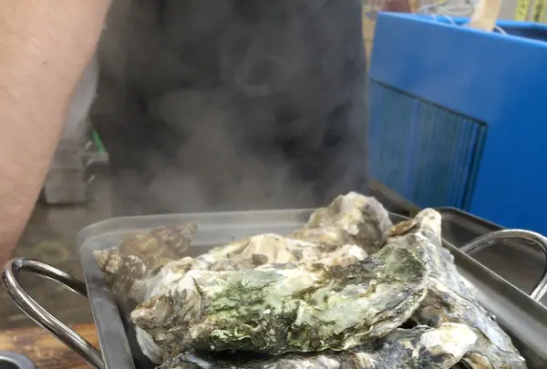 カキ小屋の写真・動画_image_119301