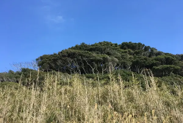 高松のビーチの写真・動画_image_119406