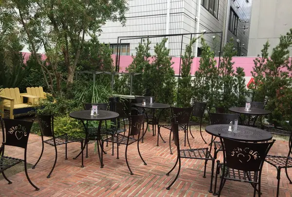 【閉業】Urth Caffe 表参道（アースカフェ）の写真・動画_image_119599