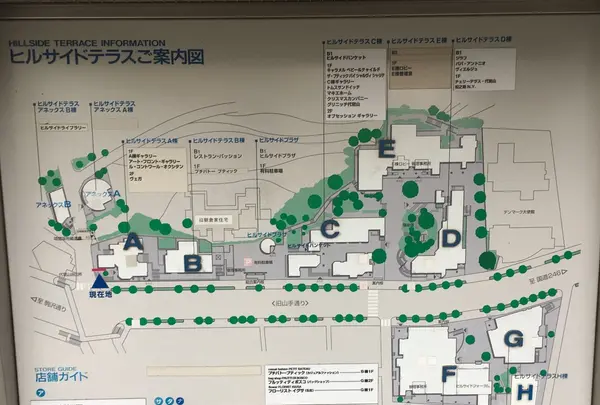 ヒルサイドテラスの写真・動画_image_119699
