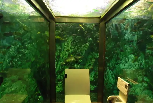 ヒポポパパの写真・動画_image_120013