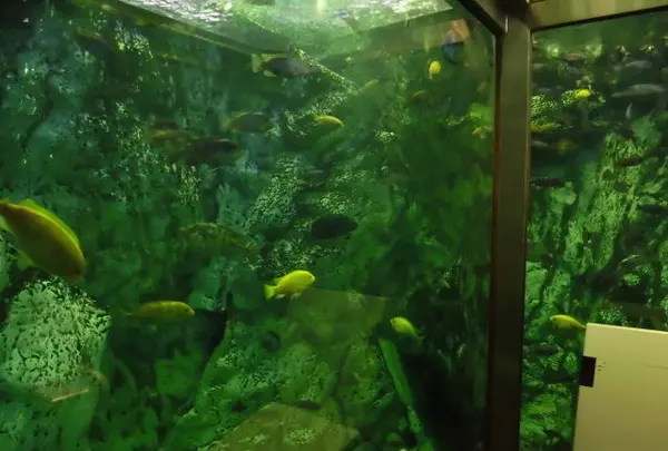 ヒポポパパの写真・動画_image_120014