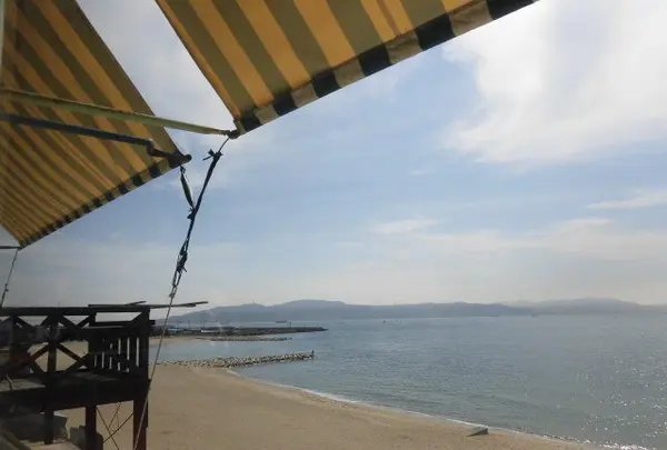 ヒポポパパの写真・動画_image_120016