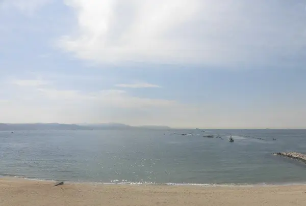 ヒポポパパの写真・動画_image_120020