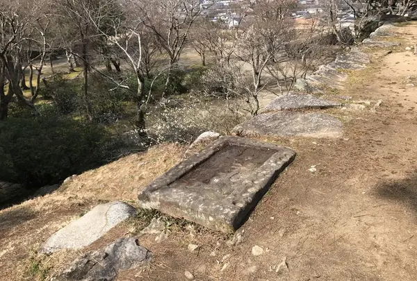 松坂城跡（松阪公園）の写真・動画_image_120096