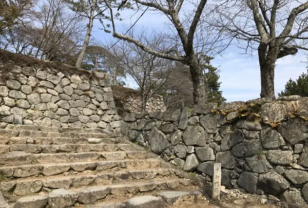 松坂城跡（松阪公園）の写真・動画_image_120103