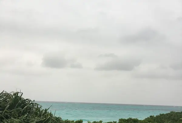 茶花海岸の写真・動画_image_120112