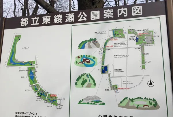 都立東綾瀬公園の写真・動画_image_120123