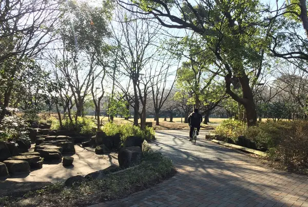 大井ふ頭海浜公園の写真・動画_image_120132