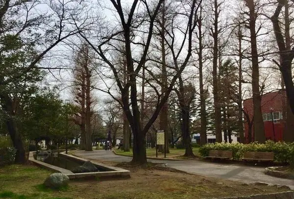 都立東綾瀬公園の写真・動画_image_120134