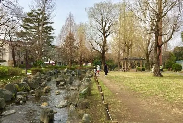 都立東綾瀬公園の写真・動画_image_120135