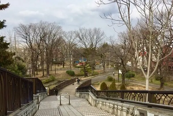 都立東綾瀬公園の写真・動画_image_120136