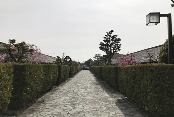 御城番屋敷の写真・動画_image_120158