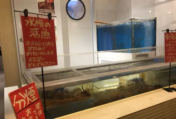 まるは食堂の写真・動画_image_120164