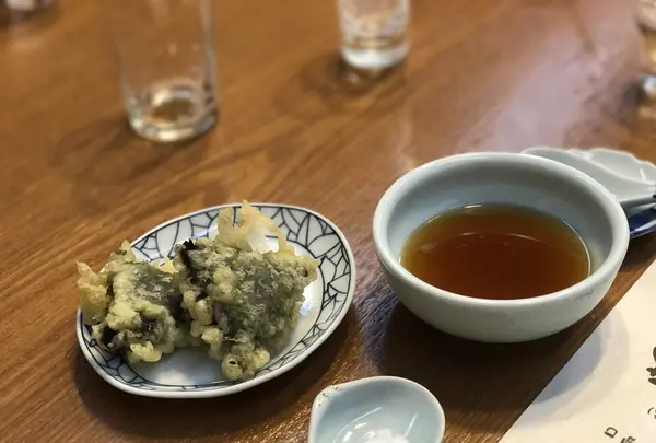 日の出の写真・動画_image_120221