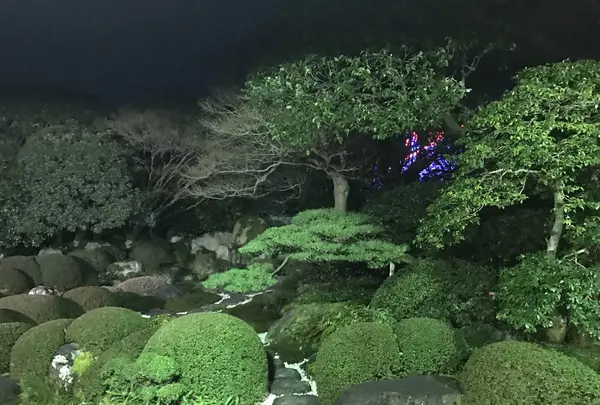 海津本店の写真・動画_image_120239