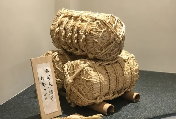 伊勢せきや 本店の写真・動画_image_120254