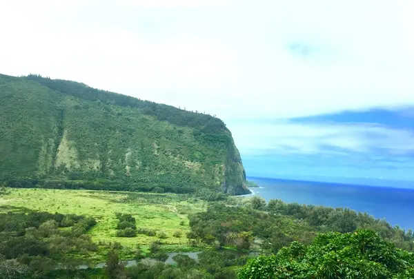 Waipio Valleyの写真・動画_image_120323