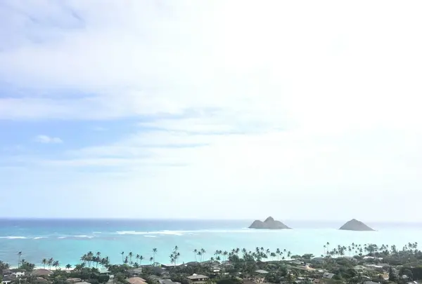 Pillbox Hikeの写真・動画_image_120501