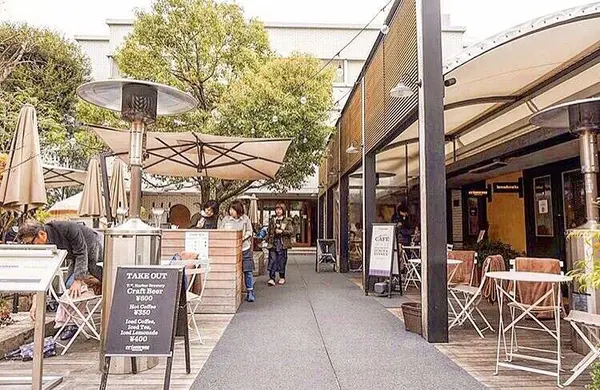 crisscross （クリスクロス）の写真・動画_image_120585