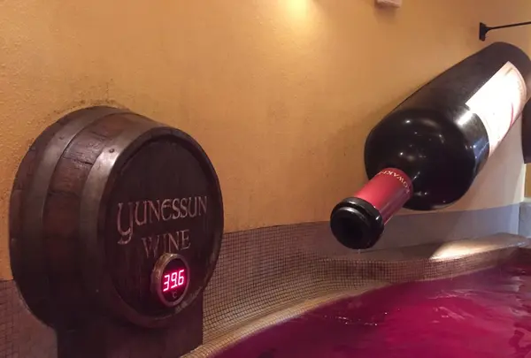 箱根小涌園ユネッサンの写真・動画_image_120718