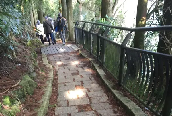 箱根神社の写真・動画_image_120754