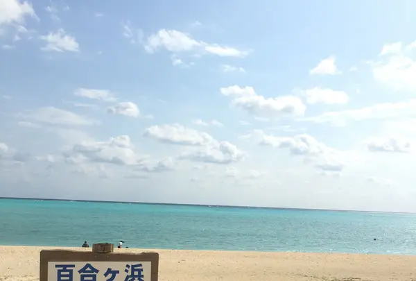 百合ヶ浜の写真・動画_image_120818