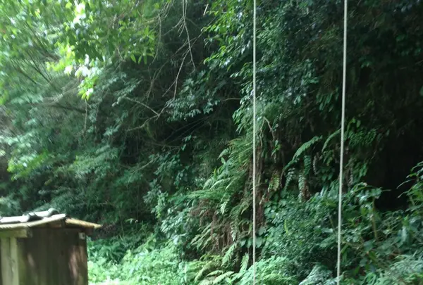 たからの窯の写真・動画_image_120920