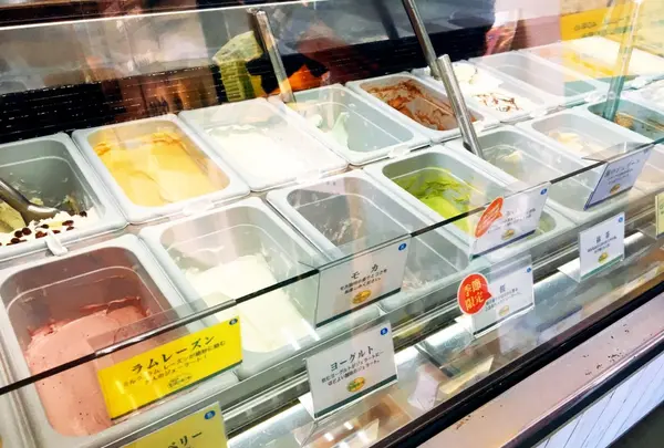 みるく工房たんぽぽ 長坂牧場内工場直売店の写真・動画_image_120974