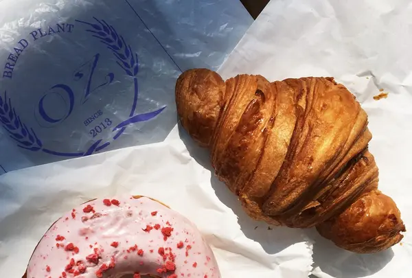 ブレッドプラントオズの写真・動画_image_121207