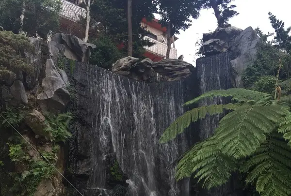 龍山寺の写真・動画_image_121333