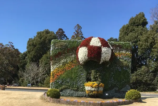 はままつフラワーパークの写真・動画_image_121717