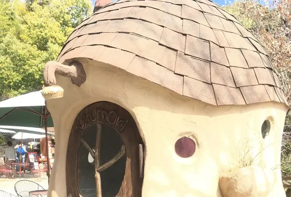 ぬくもりの森の写真・動画_image_121721