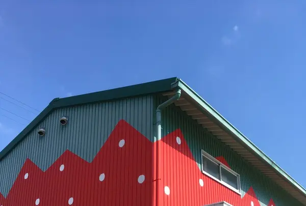 しまの農園の写真・動画_image_121722