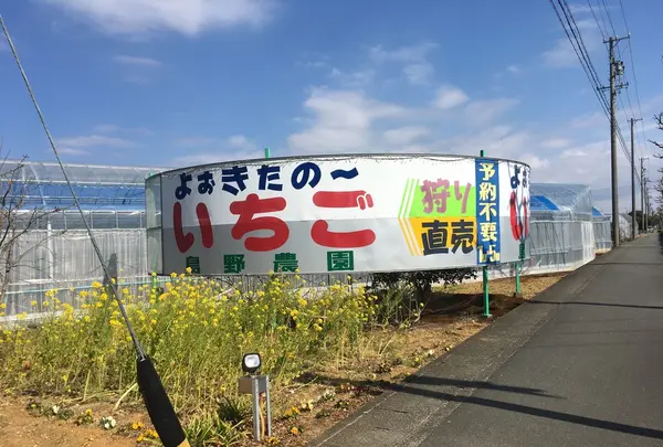 しまの農園の写真・動画_image_121723