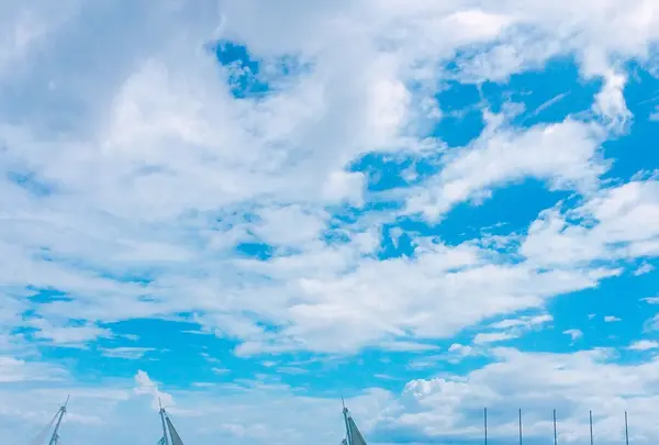 葛西臨海公園の写真・動画_image_121782
