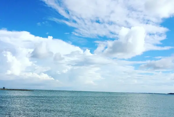 葛西臨海公園の写真・動画_image_121785