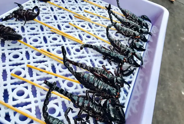 ถนนข้าวสาร（カオサン通り）の写真・動画_image_121794