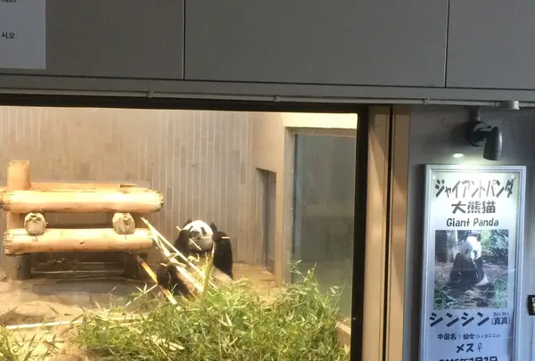 上野動物園の写真・動画_image_121891