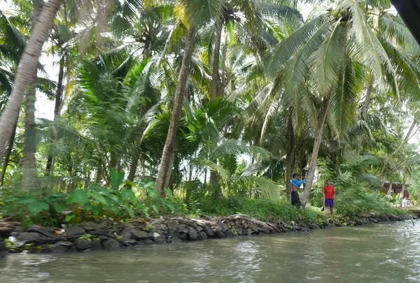 Damnoen Saduak Floating Market（ダムヌンサドアック水上マーケット）の写真・動画_image_122029