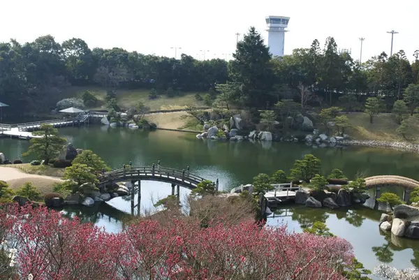 三景園の写真・動画_image_122052