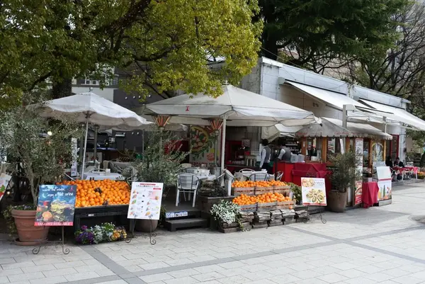 広島市の写真・動画_image_122110