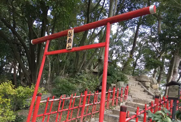 広島市の写真・動画_image_122129