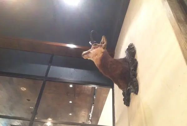 THE MEAT＆LABORATORY - ザ・ミート＆ラボラトリーの写真・動画_image_122236